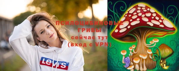 мяу мяу мука Алексин