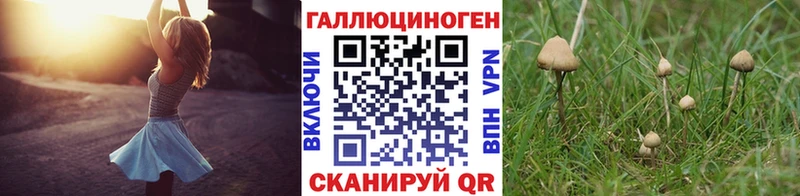 Псилоцибиновые грибы прущие грибы  цены   Котово 